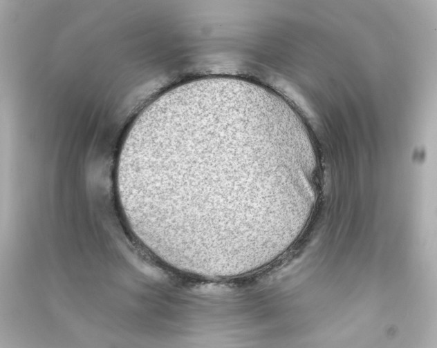 X0000090500537200708102243