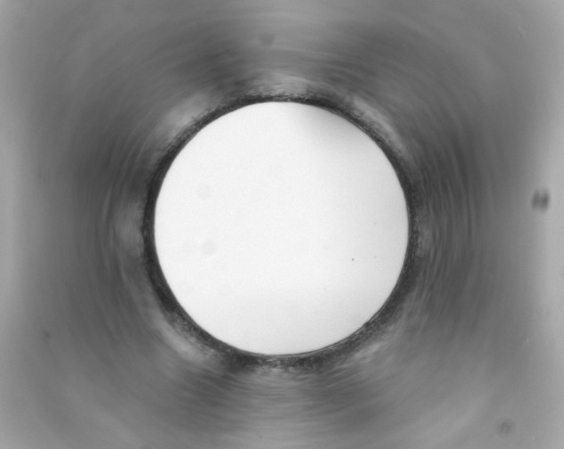 X0000090500538200708102243