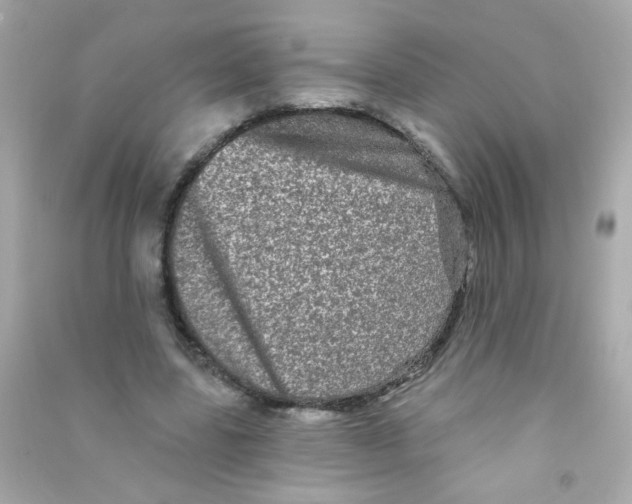 X0000090500539200708102243