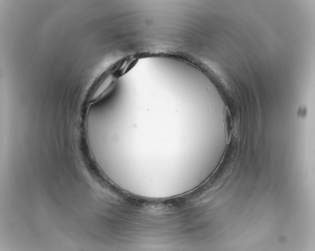 X0000090500540200708102243