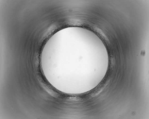 X0000090500541200708102243