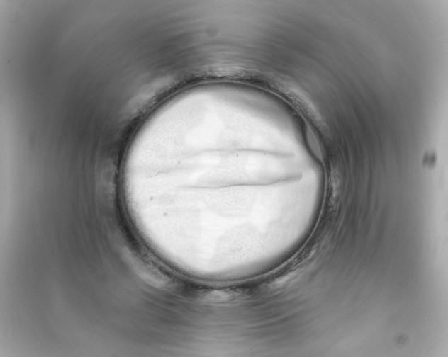 X0000090500542200708102243