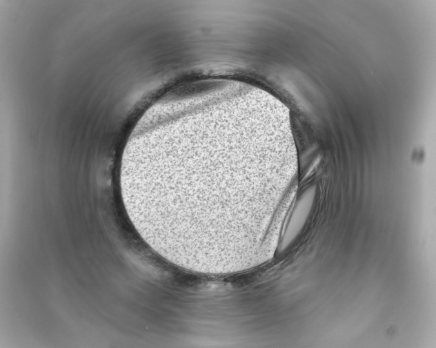 X0000090500543200708102243