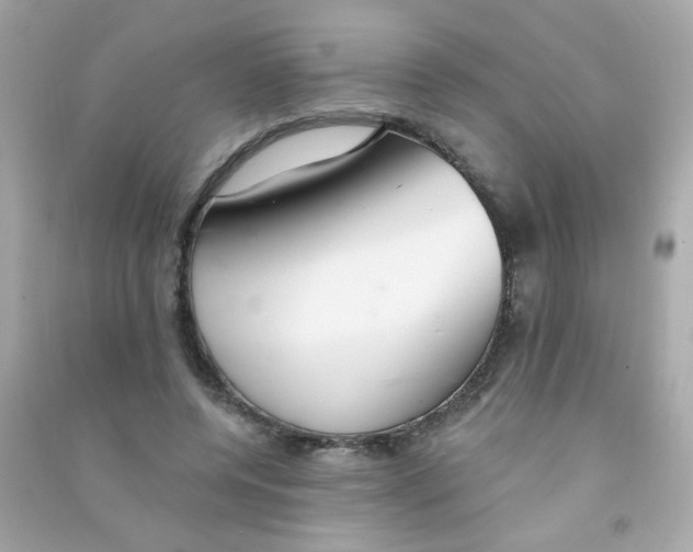 X0000090500544200708102243