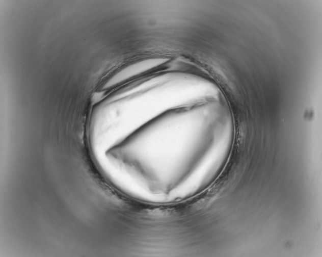 X0000090500545200708102243