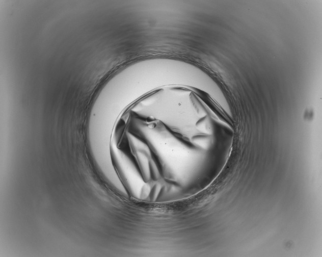 X0000090500546200708102243