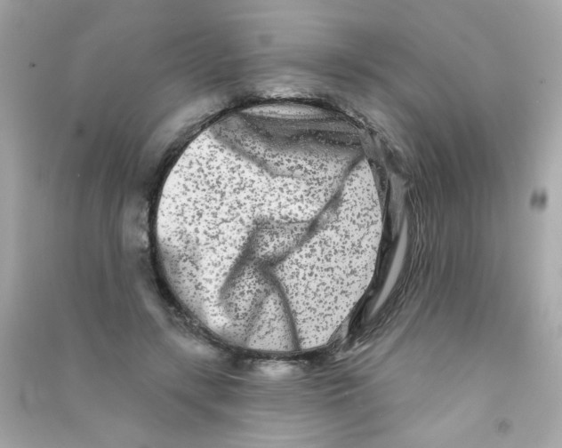 X0000090500547200708102243