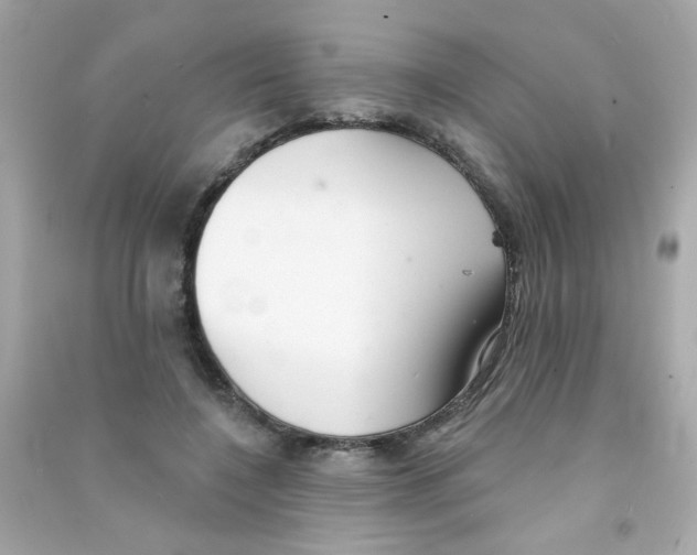 X0000090500548200708102243