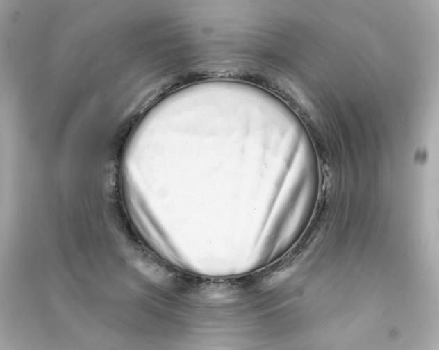 X0000090500549200708102243
