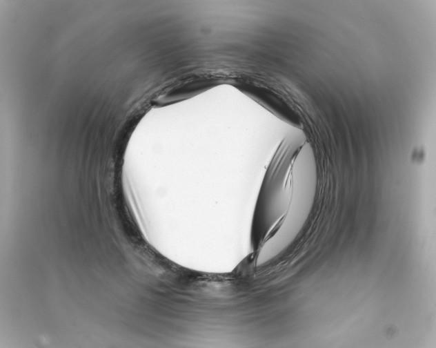 X0000090500552200708102243