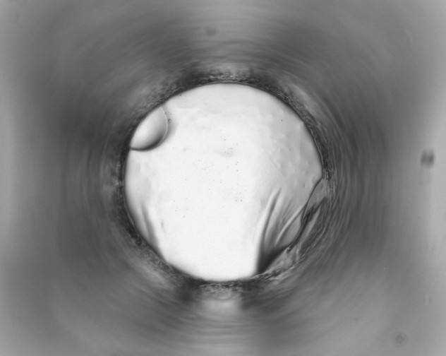 X0000090500553200708102243
