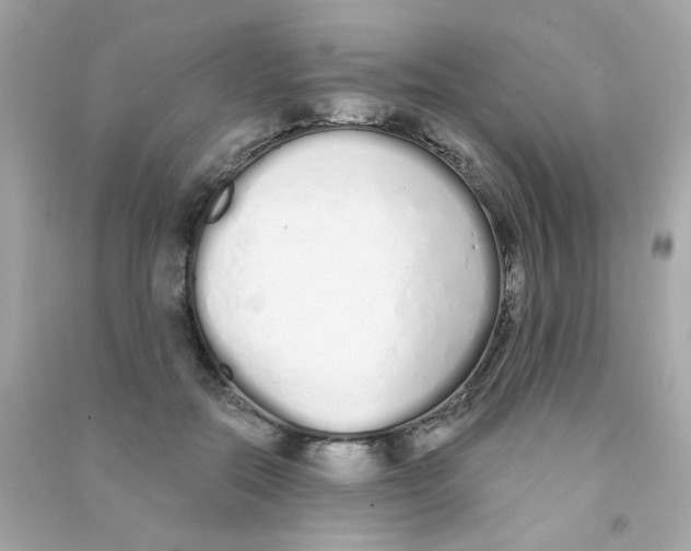 X0000090500554200708102243