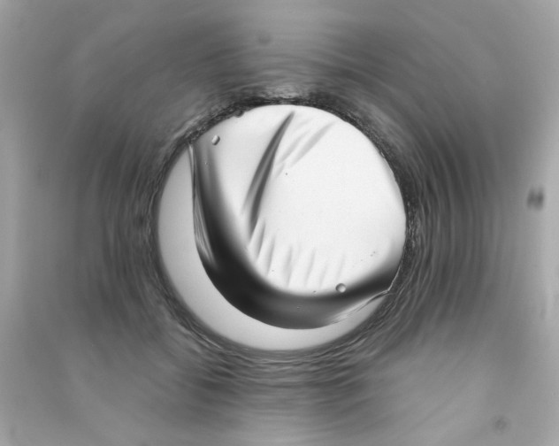 X0000090500556200708102243