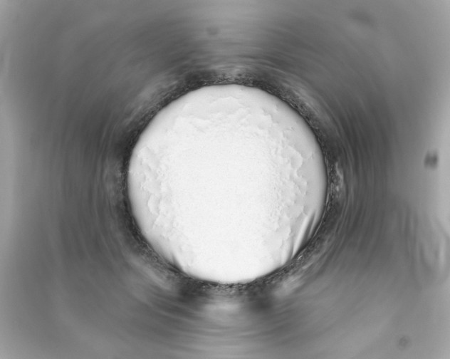 X0000090500557200708102243