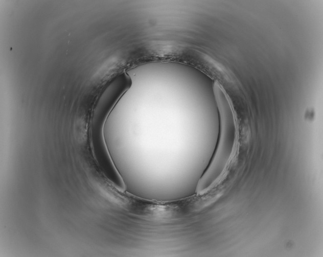 X0000090500558200708102243