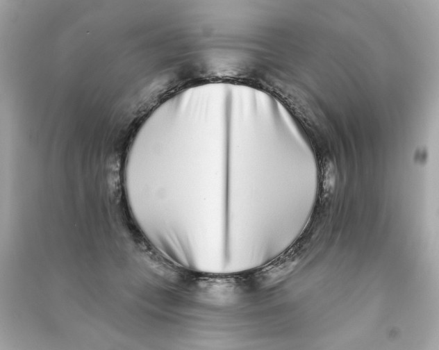 X0000090500559200708102243