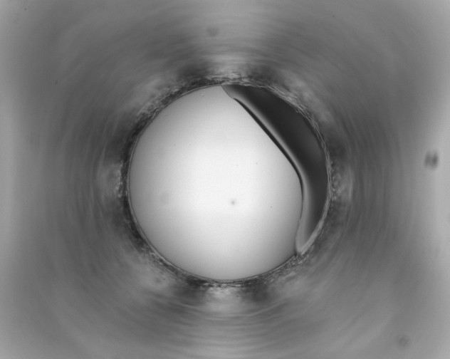 X0000090500560200708102243