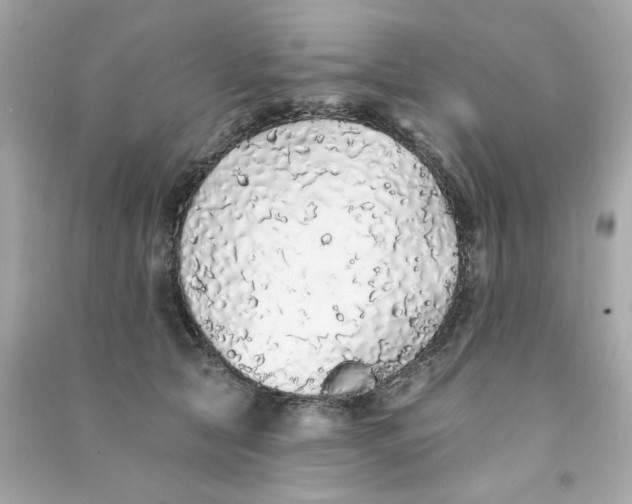 X0000090500561200708102243
