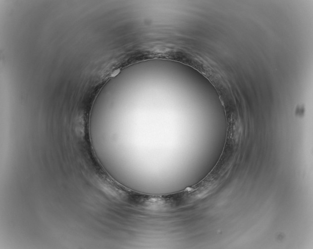 X0000090500562200708102243