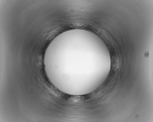 X0000090500563200708102243