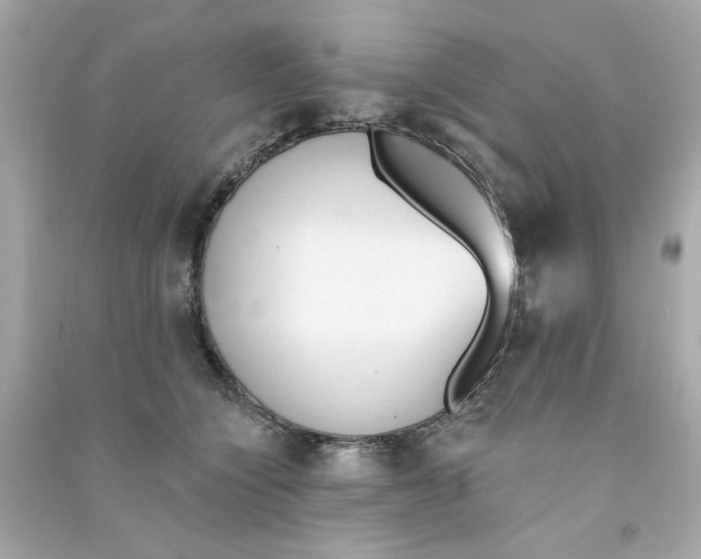 X0000090500564200708102243