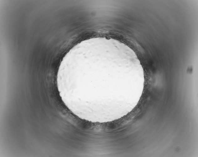 X0000090500565200708102243