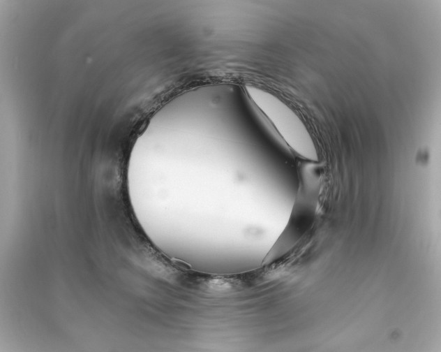 X0000090500566200708102243
