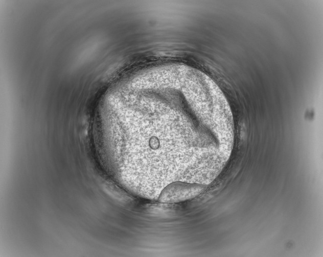 X0000090500567200708102243