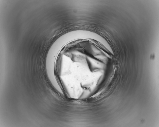 X0000090500568200708102243