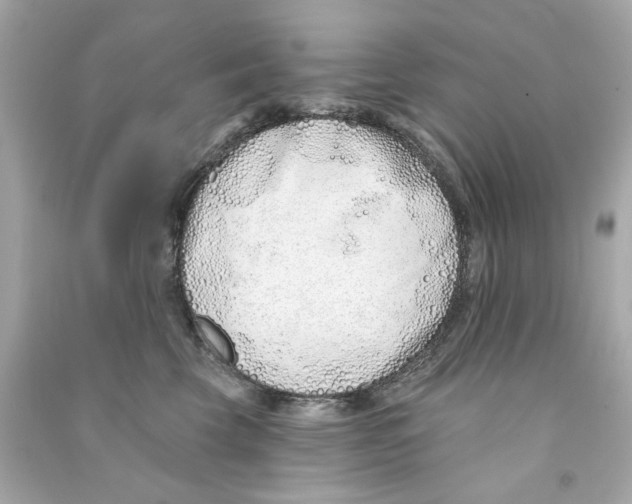 X0000090500569200708102243