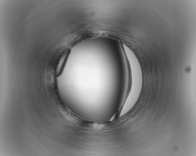 X0000090500570200708102243