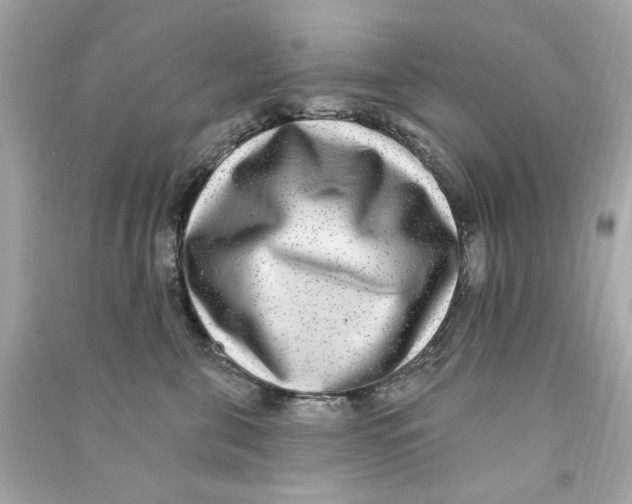 X0000090500571200708102243