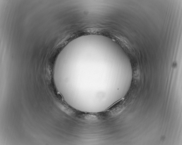 X0000090500572200708102243