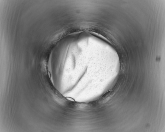 X0000090500575200708102243