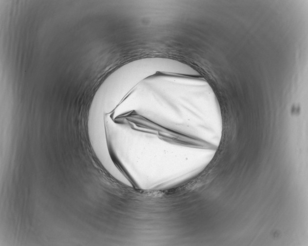 X0000090500576200708102243