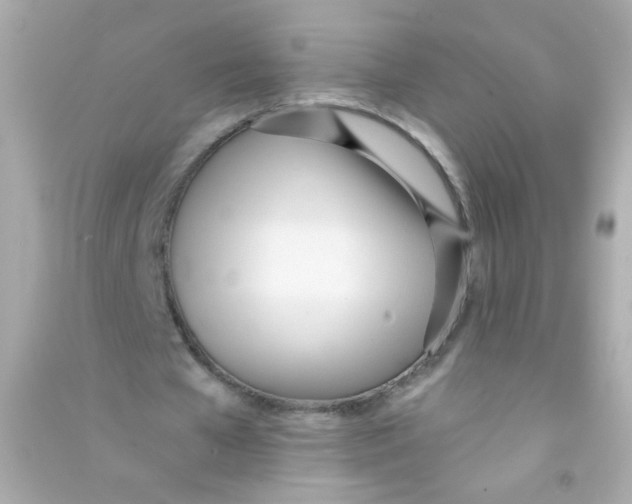 X0000090500577200708102243