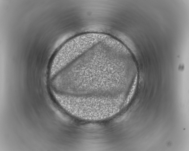 X0000090500578200708102243