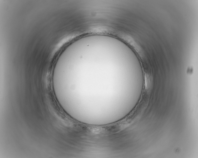X0000090500579200708102243