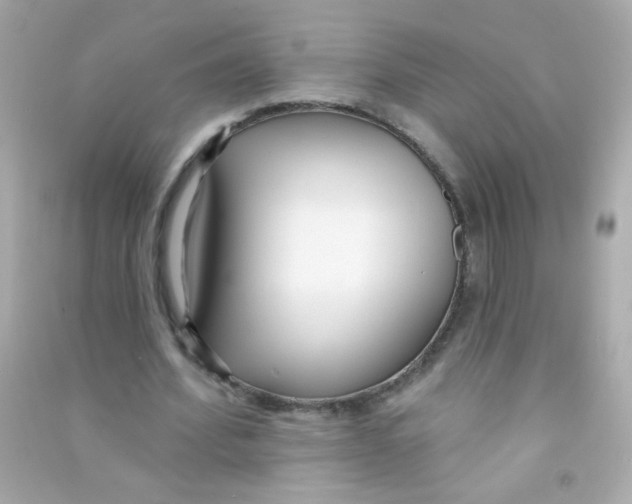 X0000090500580200708102243