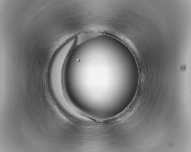 X0000090500581200708102243