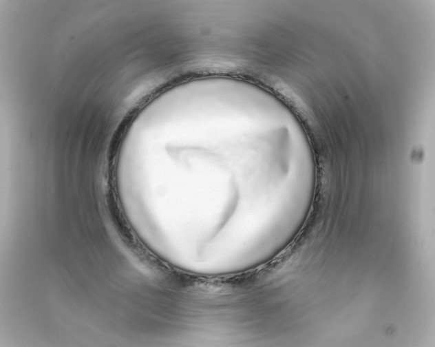 X0000090500582200708102243