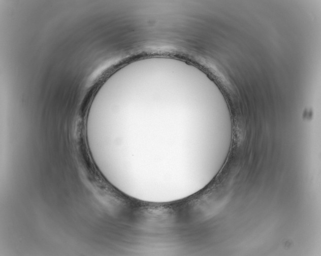 X0000090500583200708102243