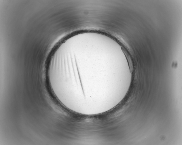 X0000090500584200708102243