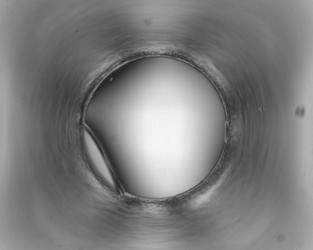 X0000090500585200708102243