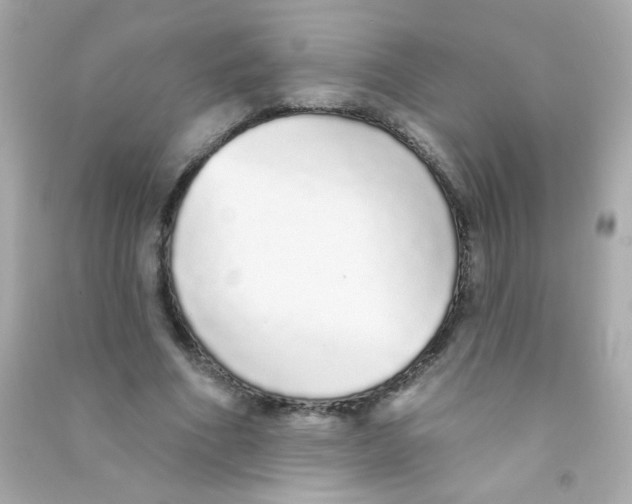 X0000090500586200708102243