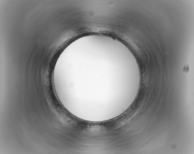 X0000090500587200708102243