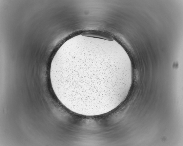 X0000090500588200708102243