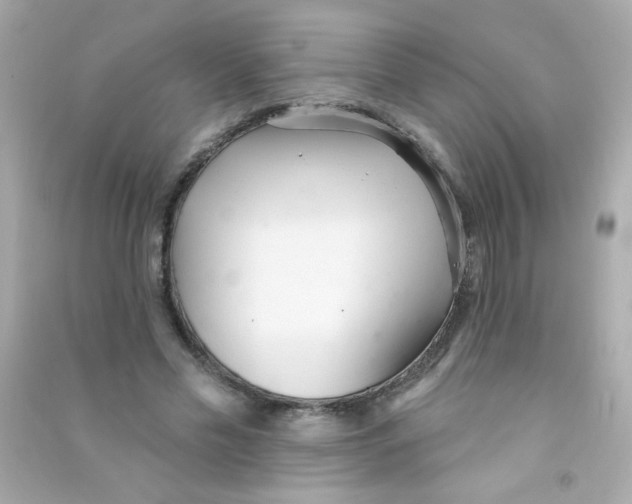 X0000090500589200708102243