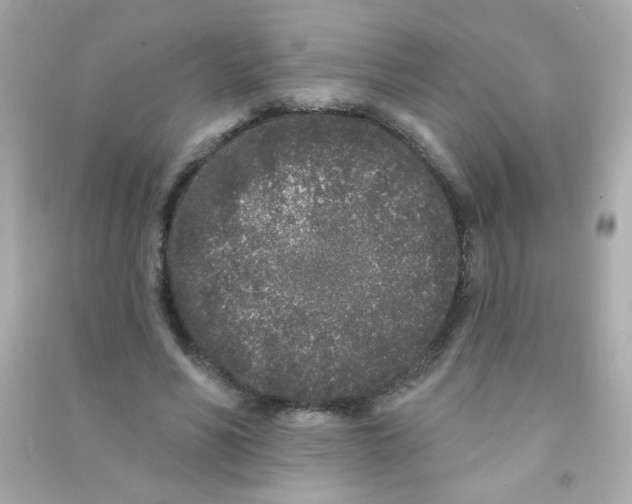 X0000090500590200708102243