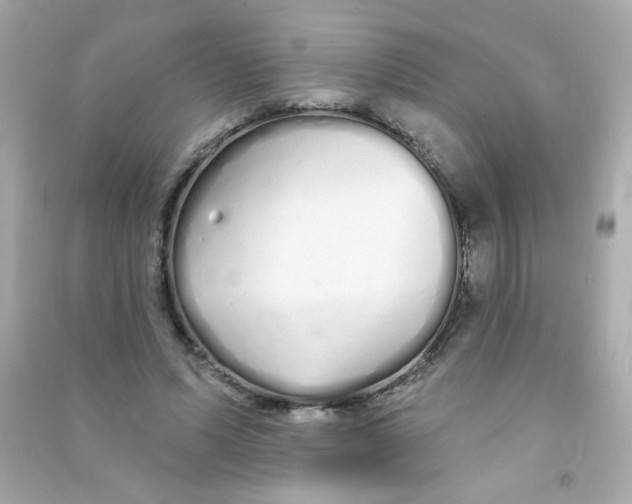 X0000090500591200708102242